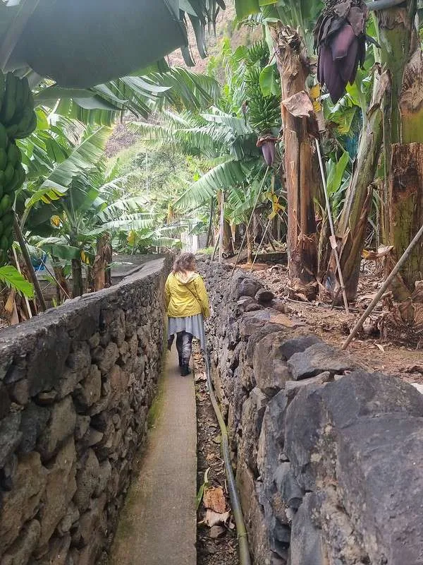 Madeira Rota da Banana