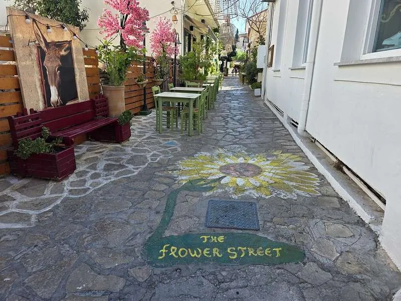 Samos Island Day 4 Pythagorio Flower Street